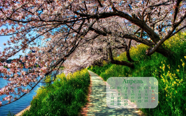 Обои картинки фото календари, природа, дерево
