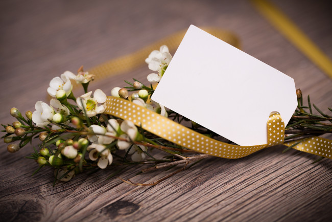 Обои картинки фото цветы, цветущие деревья ,  кустарники, открытка