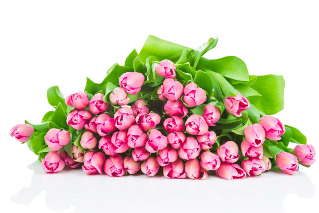 Обои картинки фото цветы, тюльпаны, букет, подарок