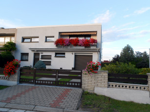 Картинка города -+здания +дома цветы лето