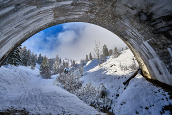 Картинка природа зима снег