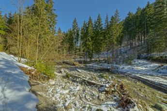 Картинка природа зима снег