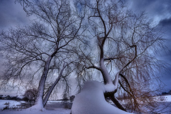 Картинка природа зима снег