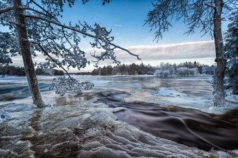 Картинка природа зима снег