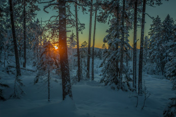 Картинка природа зима снег