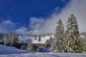 Картинка природа зима снег