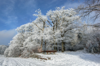 Картинка природа зима снег