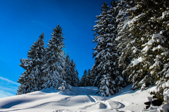 Картинка природа зима снег