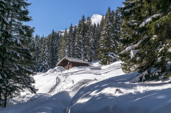 Картинка природа зима снег