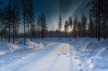 Картинка природа зима снег