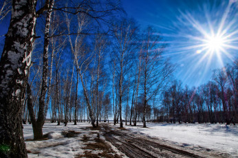 Картинка природа зима снег