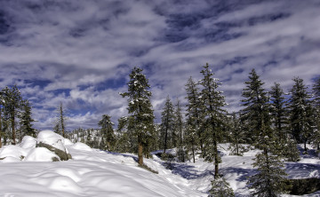 Картинка природа зима снег