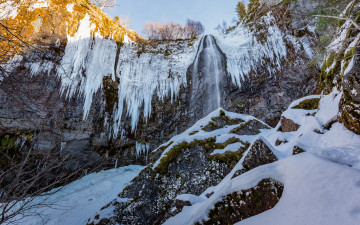 Картинка природа зима снег