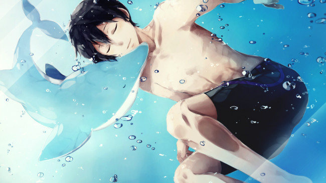 Обои картинки фото аниме, free, дельфин, вода, парень