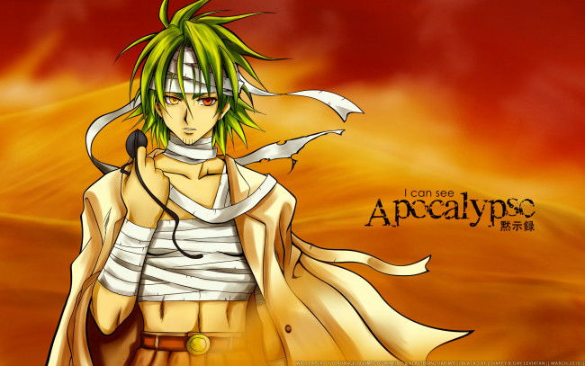 Обои картинки фото аниме, black cat, фон, взгляд, парень