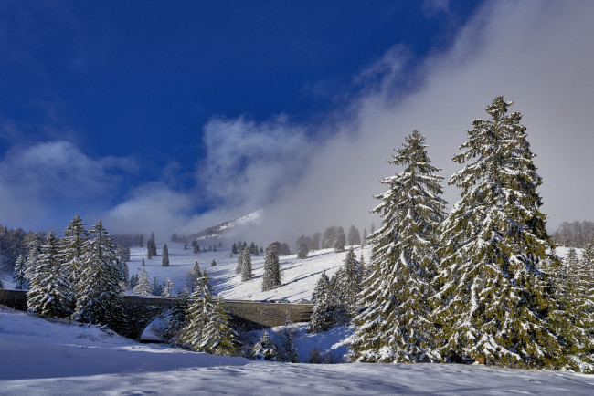 Обои картинки фото природа, зима, снег