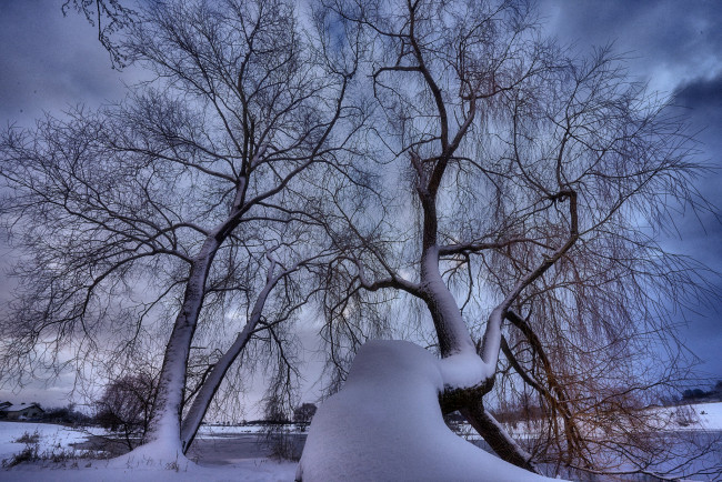 Обои картинки фото природа, зима, снег