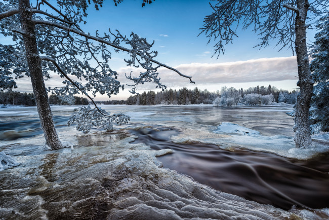 Обои картинки фото природа, зима, снег