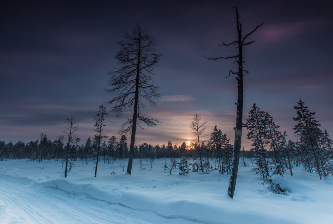 Обои картинки фото природа, зима, снег