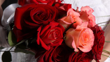 Картинка цветы розы бутоны