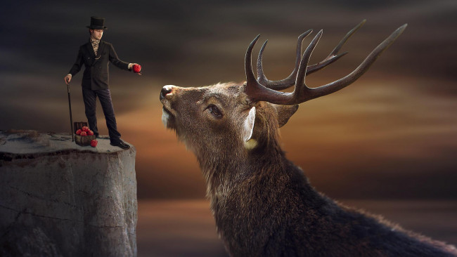 Обои картинки фото разное, компьютерный дизайн, парень, яблоки, олень