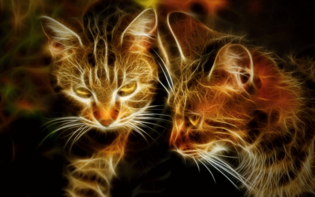 Обои картинки фото разное, компьютерный дизайн, кошки, ретушь