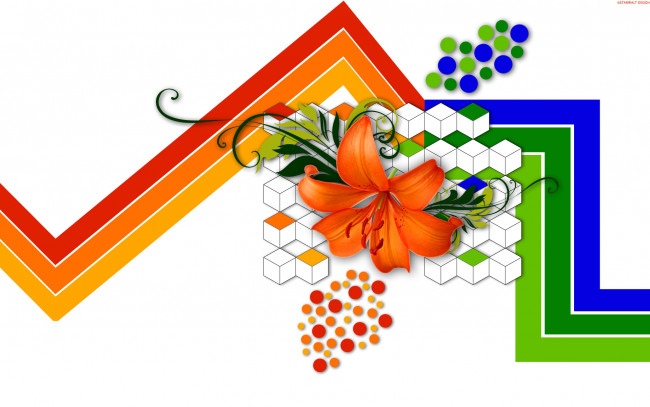 Обои картинки фото разное, компьютерный дизайн, лилия