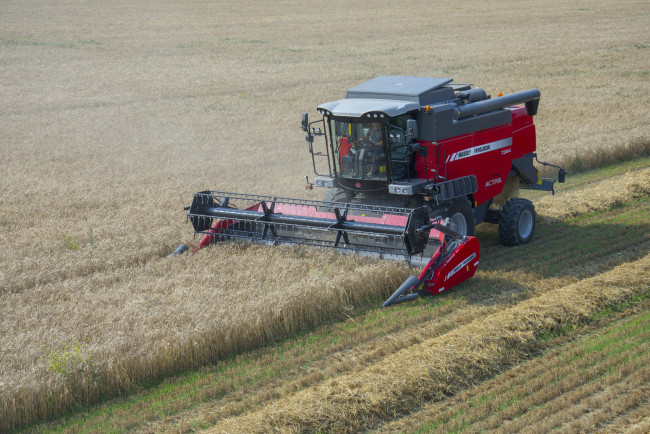 Обои картинки фото техника, комбайны, massey, ferguson