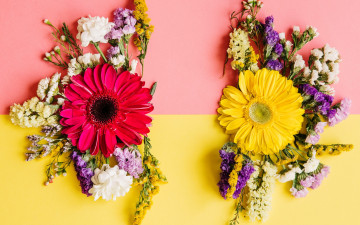 Картинка цветы букеты +композиции весна colorful композиция bright хризантемы spring flowers