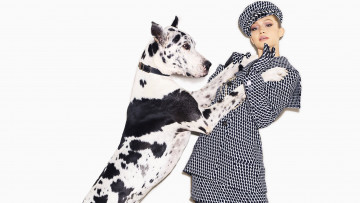 Картинка gigi+hadid +harpers+bazaar+may+cover+2018 девушки gigi hadid собака harpers bazaar may cover 2018 шляпка дог модель