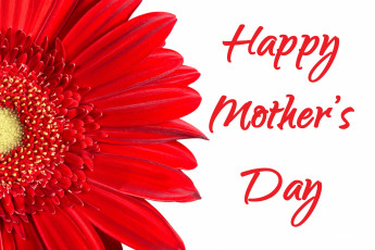 Картинка праздничные день+матери гербера надпись