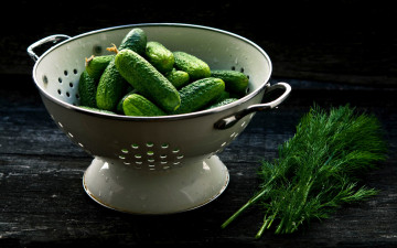 Картинка еда огурцы укроп свежие