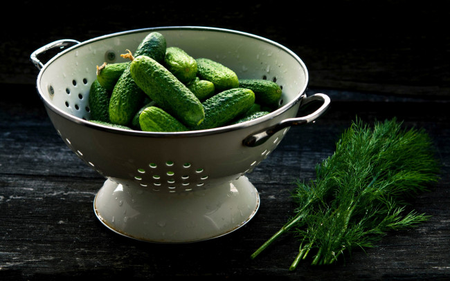 Обои картинки фото еда, огурцы, укроп, свежие