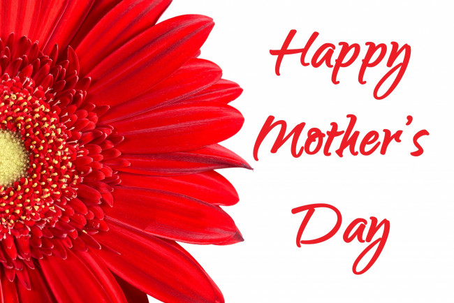 Обои картинки фото праздничные, день матери, гербера, надпись
