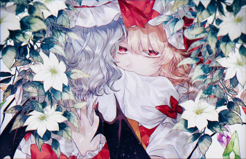 Картинка аниме touhou тохо