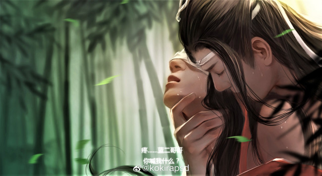 Обои картинки фото рисованное, кино,  мультфильмы, вэй, усянь, лань, ванцзы, бамбук