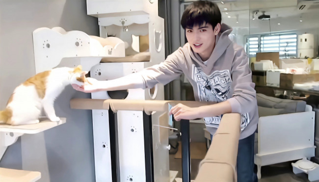 Обои картинки фото мужчины, wang hao xuan, ван, хаосюань, wang, hao, xuan