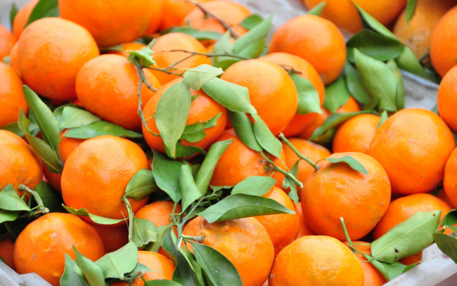 Обои картинки фото еда, цитрусы, мандарины