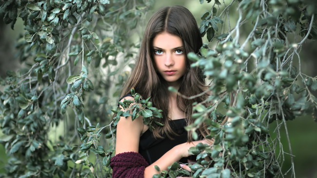 Обои картинки фото девушки, - лица,  портреты, шатенка, лицо, ветки
