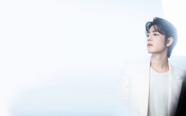 Обои картинки фото мужчины, xiao zhan, актер, пиджак