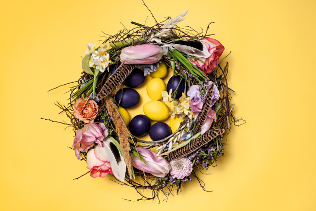 Обои картинки фото праздничные, пасха, гнездо, яйца, цветы, перья