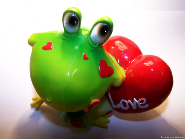 Обои картинки фото лягушка, квакушка, разное