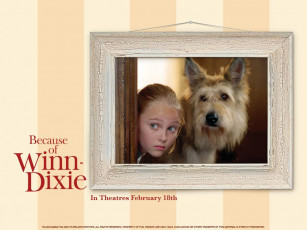 обоя кино, фильмы, because, of, winn, dixie