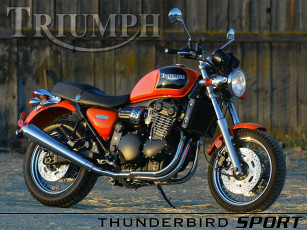 Картинка мотоциклы triumph