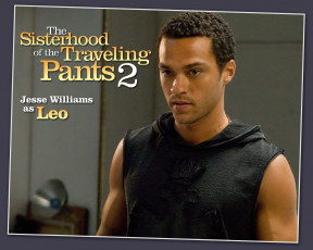 Картинка the sisterhood of traveling pants кино фильмы