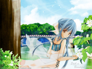 Картинка аниме strawberry panic suzumi tamao