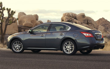 Картинка nissan maxima автомобили datsun