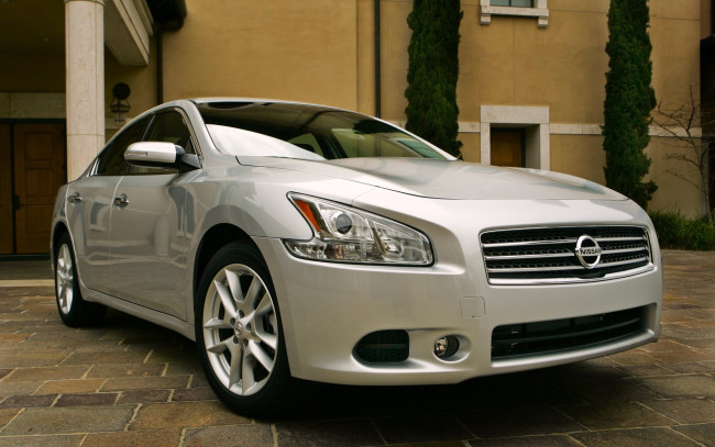 Обои картинки фото nissan, maxima, автомобили, datsun