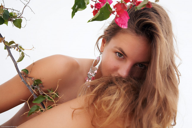 Обои картинки фото -Unsort Блондинки, девушки, unsort, блондинки, девушка, взгляд, фон, блондинка, модель