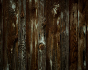 Картинка разное текстуры